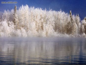 Canada Yukon Yukon River Near Carmacks screenshot
