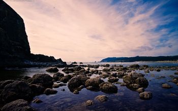 Cannon Beach screenshot