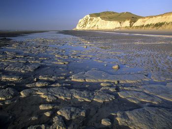 Cap Gris Nez, Cote D