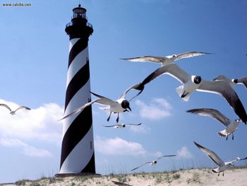 Cape Hatteras Lighthouse, Outer Banks, North Carolina screenshot
