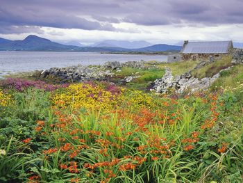 Carna Bay, Ireland screenshot