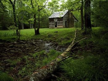 Carter Shields Cabin, Cades Cove, Great Smoky Mountains National Park, Tennessee screenshot