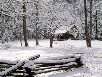 Carter Shields Cabinin Winter Great Smoky Mountains National Park Tennessee screenshot