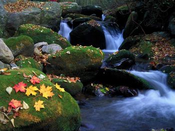 Cascade And Autumn Leaves, Great Smoky Mountains National Park, Tennessee screenshot