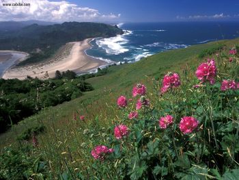 Cascade Head Oregon screenshot