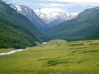 Cattle Flats, Dart River, New Zealand screenshot