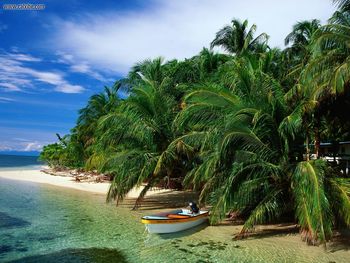 Cays Zapatillas, Bocas Del Toro, Panama screenshot