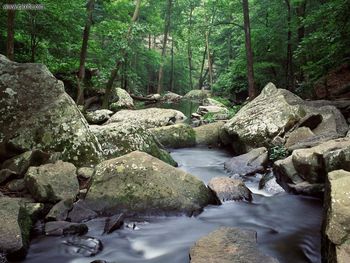 Cedar Creek Petit Jean State Park Arkansas screenshot