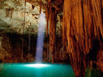 Cenote Dzitnup Mexico screenshot