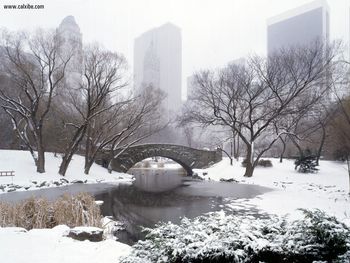 Central Parkin Winter New York City screenshot