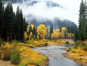 Chewack River Okanogan National Forest Washington screenshot