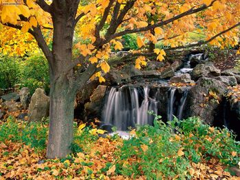 Chicago Botanic Garden Illinois screenshot