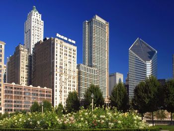Chicago Skyline From Millennium Park, Illinois screenshot