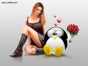 Chicks Dig Linux screenshot