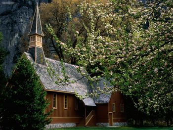Church And Blossoms Yosemite National Park California screenshot