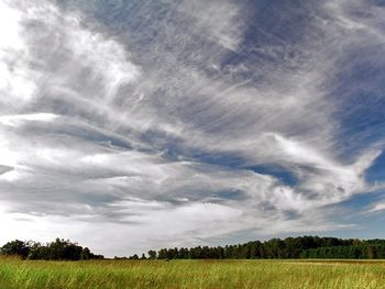 Cirrus Field Color screenshot