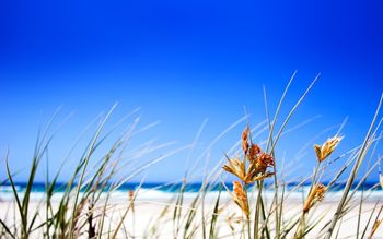 Clear Beach Sky screenshot