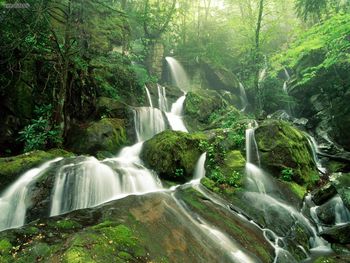 Cliff Branch Falls Great Smoky Mountains National Park Tennessee screenshot