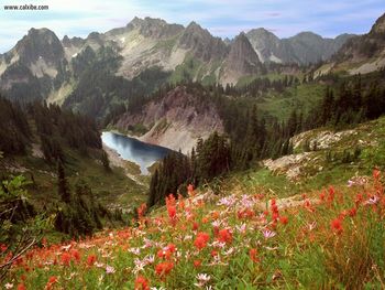 Cliff Lake And The Tatoosh Range Mount Rainier National Park Washington screenshot