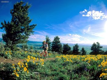 Climbing Through Flowers Bozeman Montana screenshot