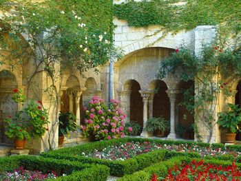 Cloister Saint Paul De Mausole St Remy De Provence France screenshot