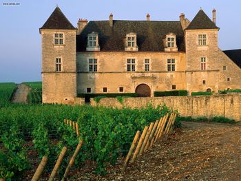 Clos De Vougeot Vineyard Vougeot France screenshot