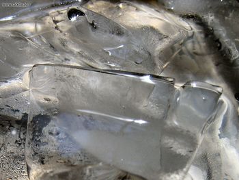 Closeup Ice Cubes screenshot