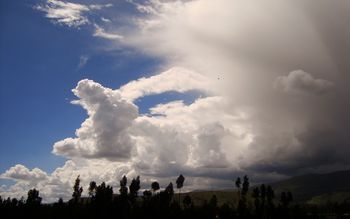 Clouds Over Trees screenshot