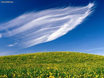 Clouds Sweeping Springtime Blossoms screenshot