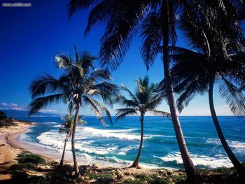 Coast Of Paraiso Dominican Republic screenshot
