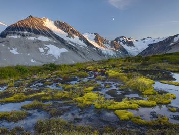 Coast Range, British Columbia, Canada screenshot