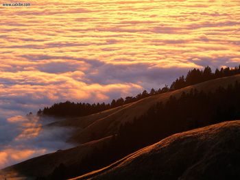 Coastal Fog And Mount Tamalpais At Sunset Marin County California screenshot