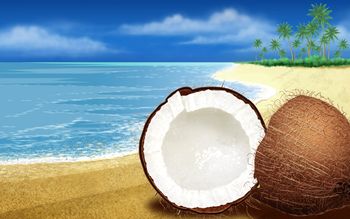 Coconuts HD Wide screenshot