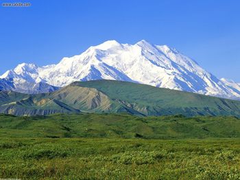 Cold Peak Denali National Park Alaska screenshot