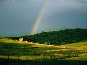 Color And Light Steamboat Colorado screenshot