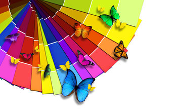 Colorful Butterflies screenshot