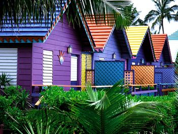 Colorful Houses, Bahamas screenshot