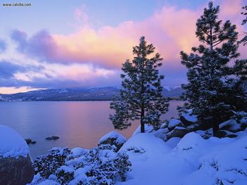 Colors Of Winter Lake Tahoe screenshot