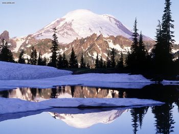 Cool Reflections Tipsoo Lake Mount Rainier Washington screenshot