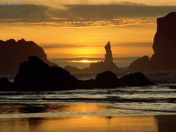 Coquilla Point Oregon Islands National Wildlife Refuge Oregon screenshot