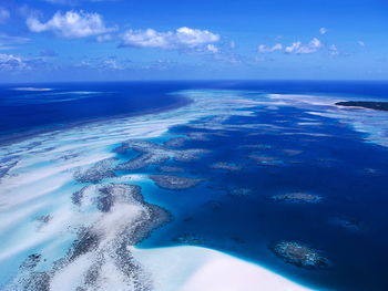 Coral Reef Australia screenshot