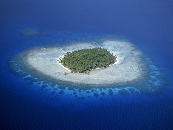 Coral Reefs, Micronesia screenshot