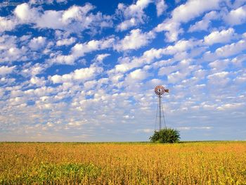 Country Field Illinois screenshot