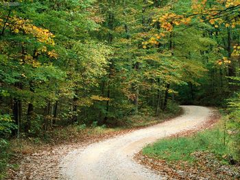 Country Road In Autumn Nashville Indiana screenshot