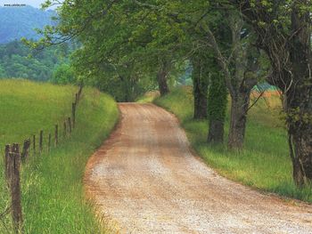 Country Road Through Cades Cove Great Smoky Mountains Tennessee screenshot