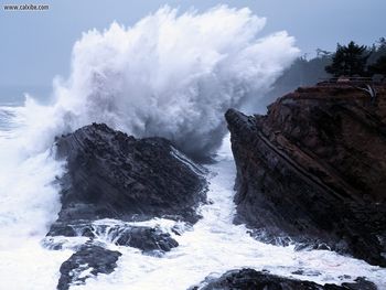 Crashing Waves Shore Acres State Park Oregon screenshot