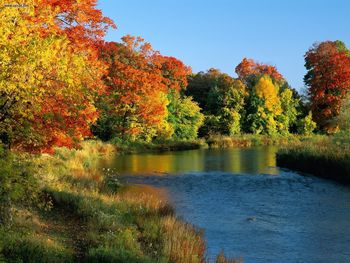 Credit River Ontario Canada screenshot