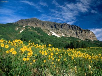 Crested Butte Colorado screenshot