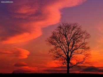 Crimson Twilight Kentucky screenshot