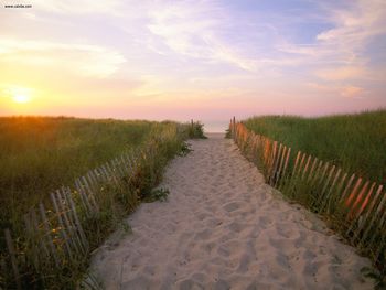 Crosby Landing Nickerson State Park Cape Cod Massachusetts screenshot